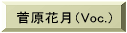 �����Ԍ��iVoc.�j